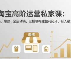 淘宝高阶运营私家课（更新26年4月）：选品、爆款、全店动销，三模块构建盈利闭环，月入破5万