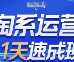 淘系运营21天速成班，0基础轻松搞定淘系运营，不做假把式，快速复制落地(更新26年6月)