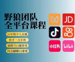 野狼团队2026新版全平台短视频带货教学，打开流量突破口，开始Ai带货（更新26年3月20日）