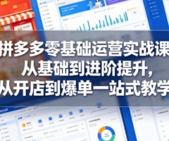 拼多多零基础运营实战课，从基础到进阶提升，从开店到爆单一站式教学