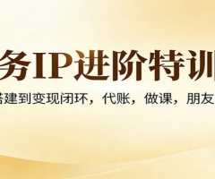 财务IP进阶特训营：从IP搭建到变现闭环，代账，做课，朋友圈运营
