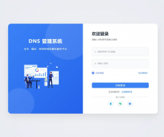 迅风DNS Pro二级域名分发全新V3.1.2系统源码