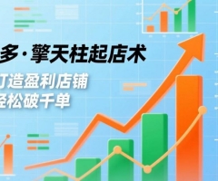 拼多多·擎天柱起店术3.0(更新)，爆流布局、利润起飞、不断流，快速打造盈利店铺，日销破千单