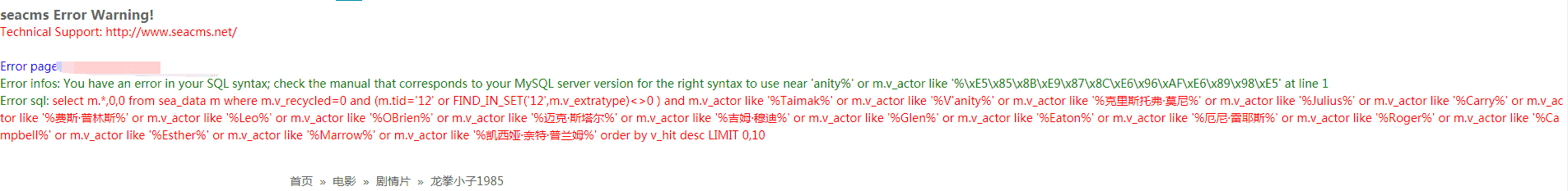 海洋cms影片主演 导演字段含有特殊字符 '，数据库报错
