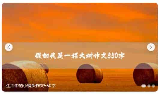 易优Eyoucms幻灯片标签代码